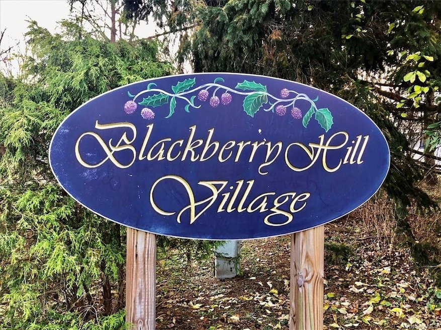 3106 Village Dr unit 3106, Brewster, NY 10509 - photo 1