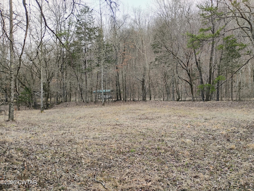 IMG_20250307_123434524_HDR_AE