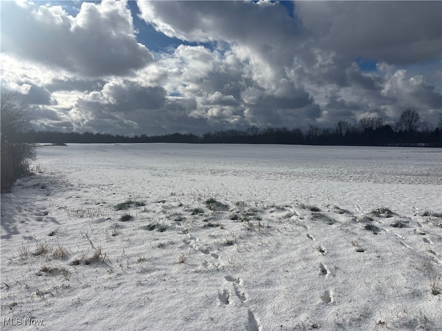 0 Plymouth Gageville Rd unit 5174776, Ashtabula, OH 44004 - photo 1