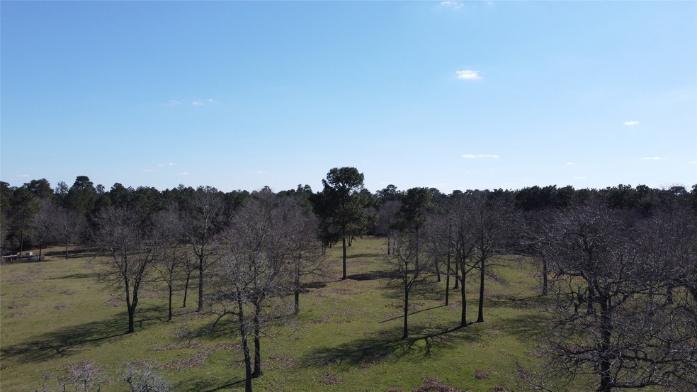 ±11 Acres Grand Pines Rd, Magnolia, TX 77355 - photo 1