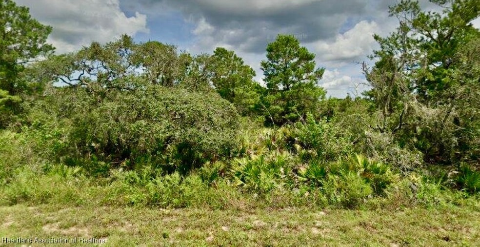 1314 Oleander St, Lake Placid, FL 33852 - photo 1