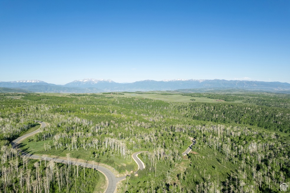 503 N Trappers Loop Rd unit 63, Heber City, UT 84032 - photo 1