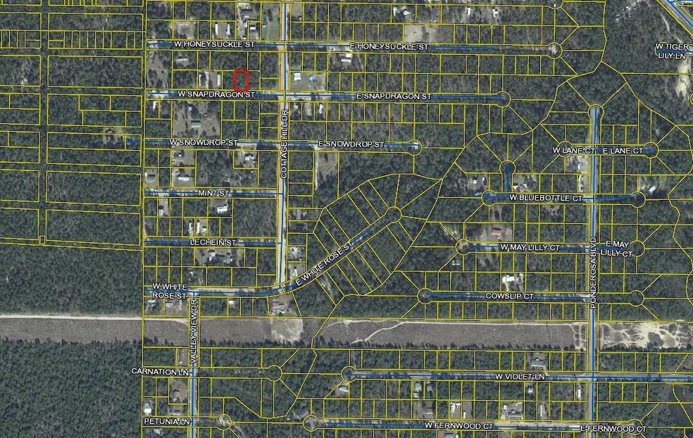 Aerial medium