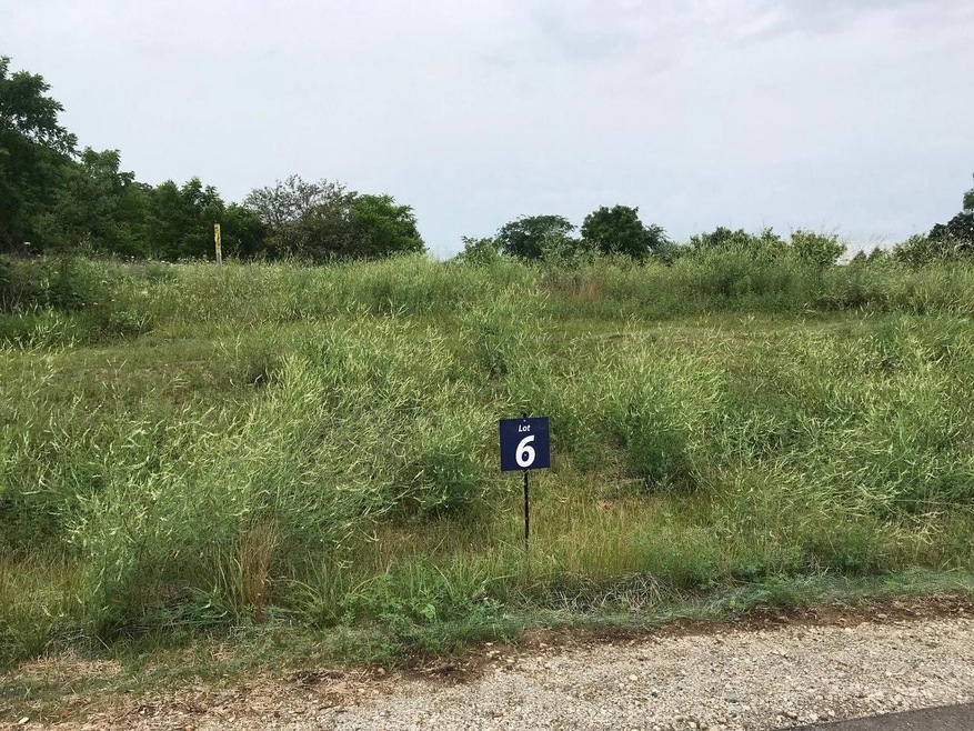 Lot 6