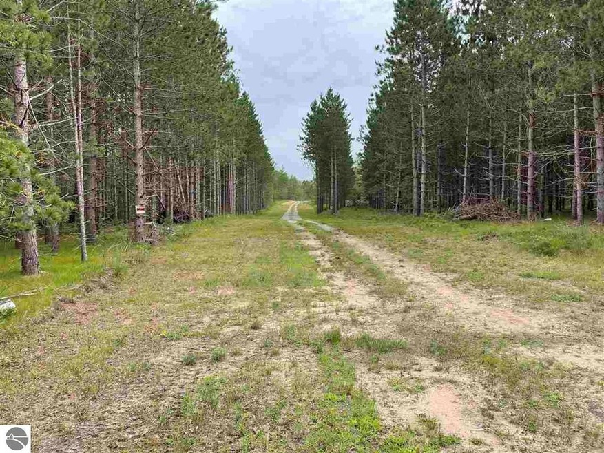 0 Esmond Rd unit 1890514, Hale, MI 48739 - photo 1