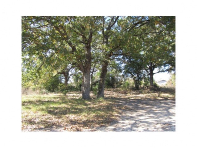 2309 SW Stallings Dr, Nacogdoches, TX 75964 - photo 1