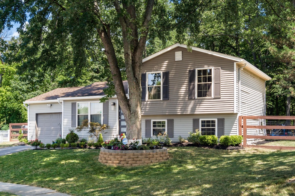 684 Westbriar Ct, Columbus, OH 43228 - photo 1