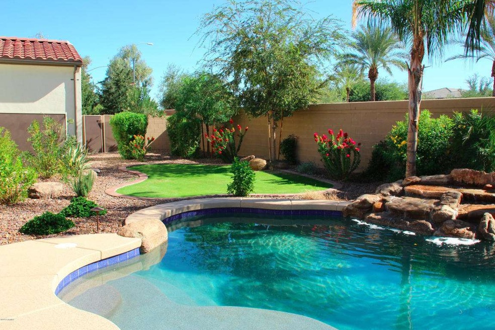 Beautiful backyard!