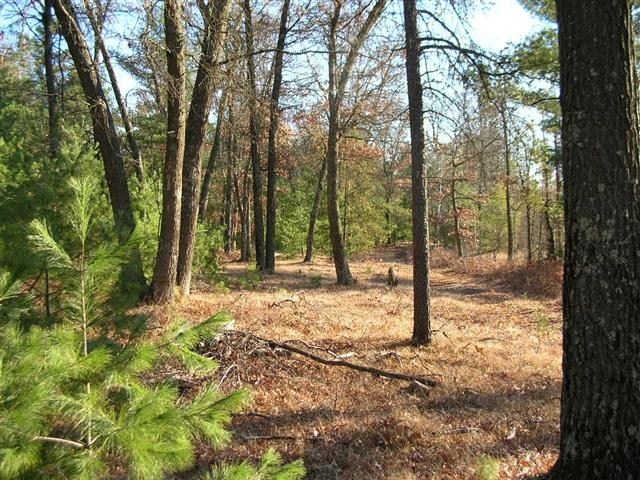 0 Crescent Rd unit 1669467, Byron, WI 54666 - photo 1