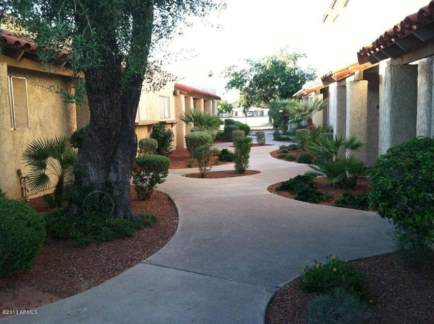 Kim Colling CourtYard