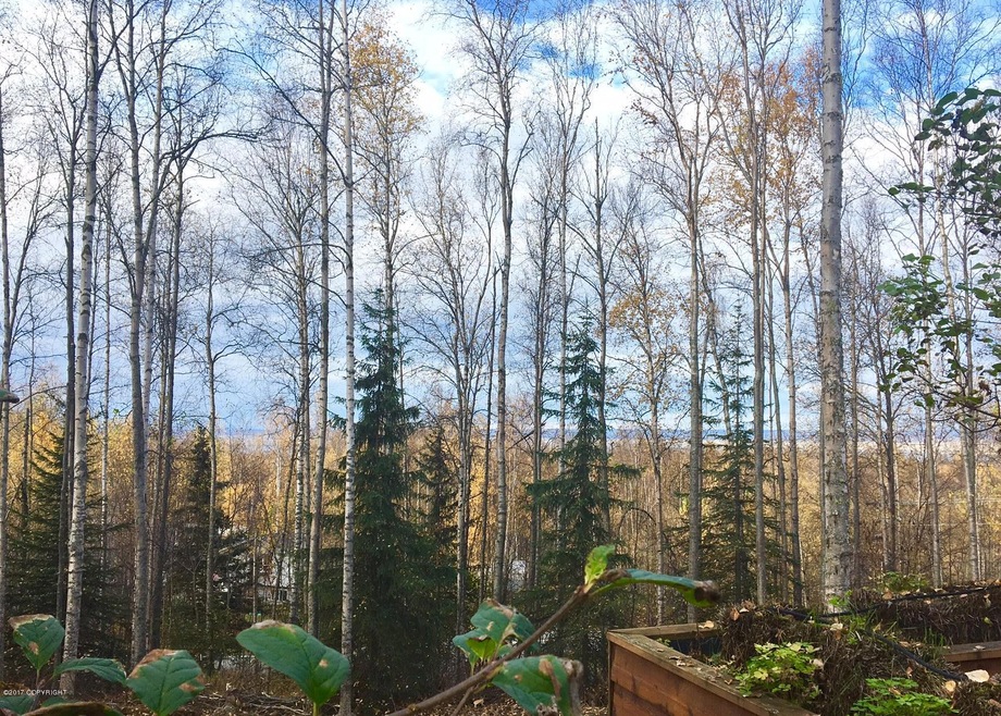 Deer_park_Inlet_view