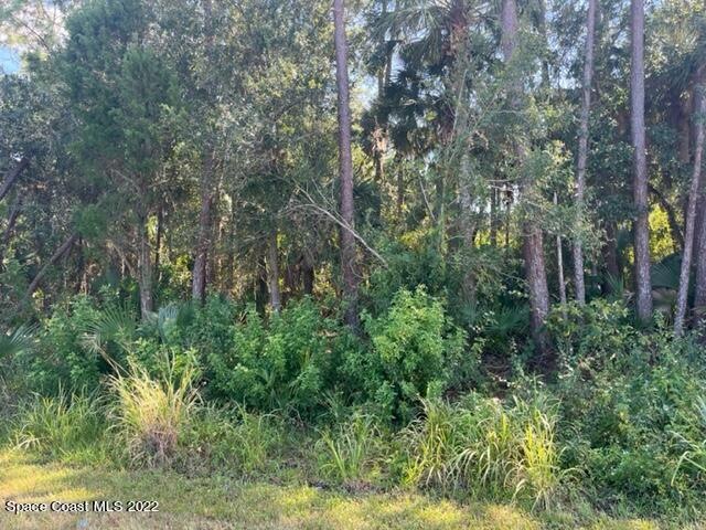 00 00 State Road 520, Cocoa, FL 32926 - photo 1