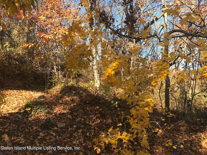 0 Cunard Ave, Staten Island, NY 10304 - photo 1