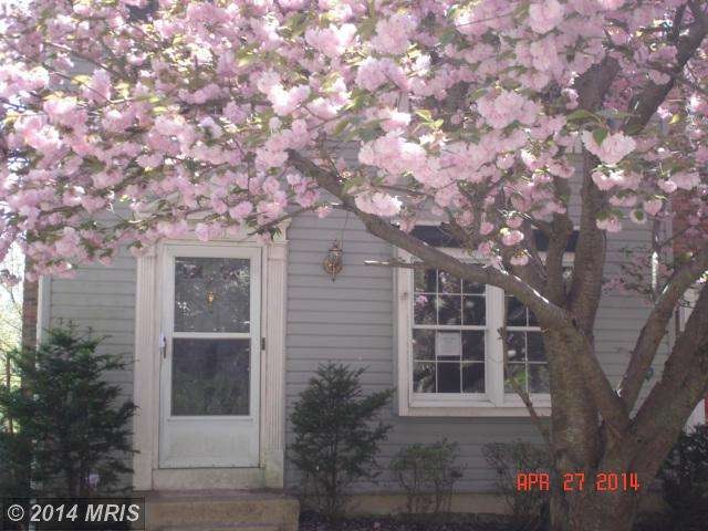 8651 Rising Creek Ct, Springfield, VA 22153 - photo 1