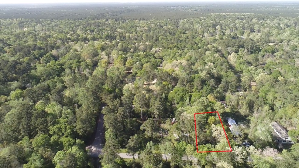 21629 Walker Dr, Conroe, TX 77306 - photo 1