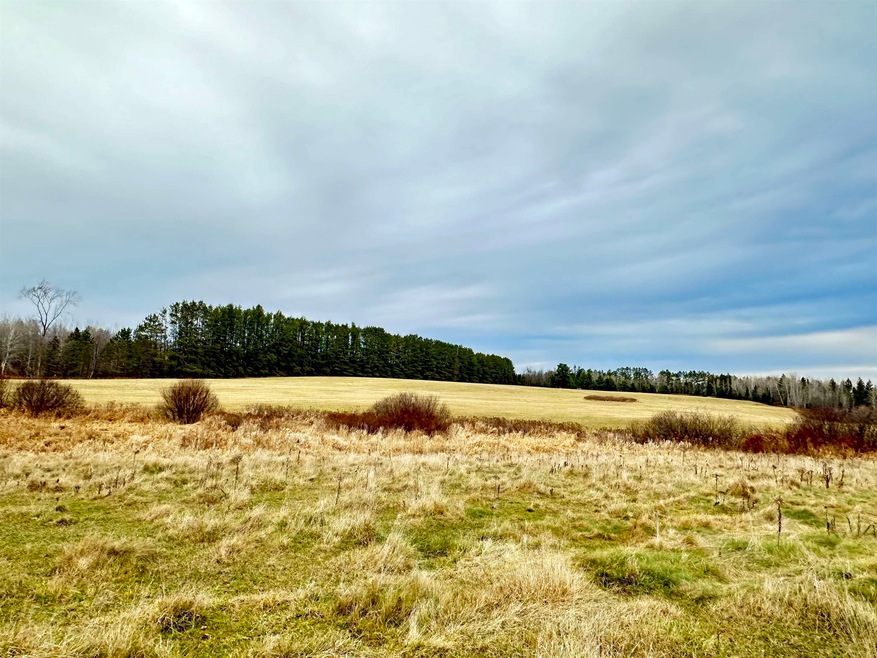 W6430 Melrue Rd, Prentice, WI 54556 - photo 1