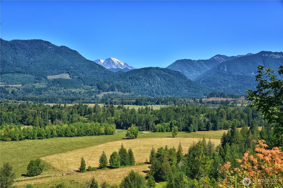 Mt. Rainier views from Lot 3