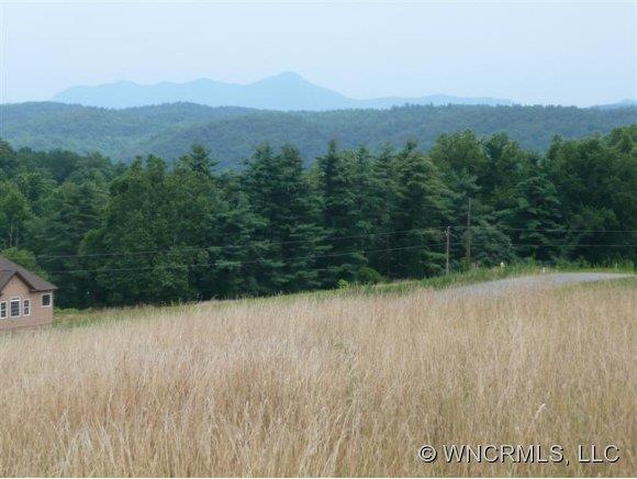 Long Range Views