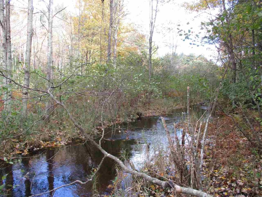 0 S Greenfield Rd unit 201911020, Greenfield Center, NY 12833 - photo 1