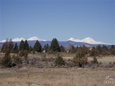 Primary Photo