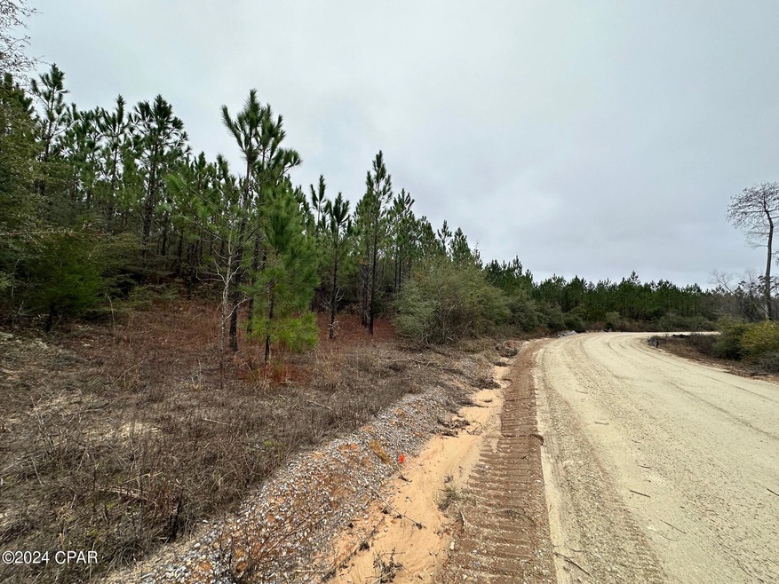 Tract 6418 Mattox Springs Rd unit Southern Winds, Caryville, FL 32427 - photo 1