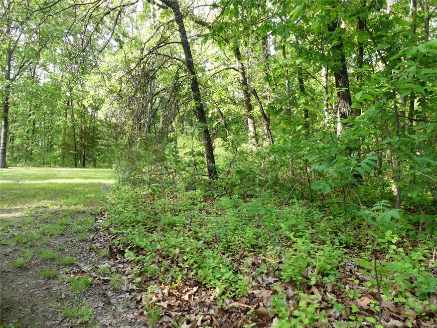 0 Tbd Nina St, Dixon, MO 65459 - photo 1