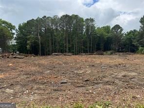 2949 Rosebud Rd, Snellville, GA 30078 - photo 1