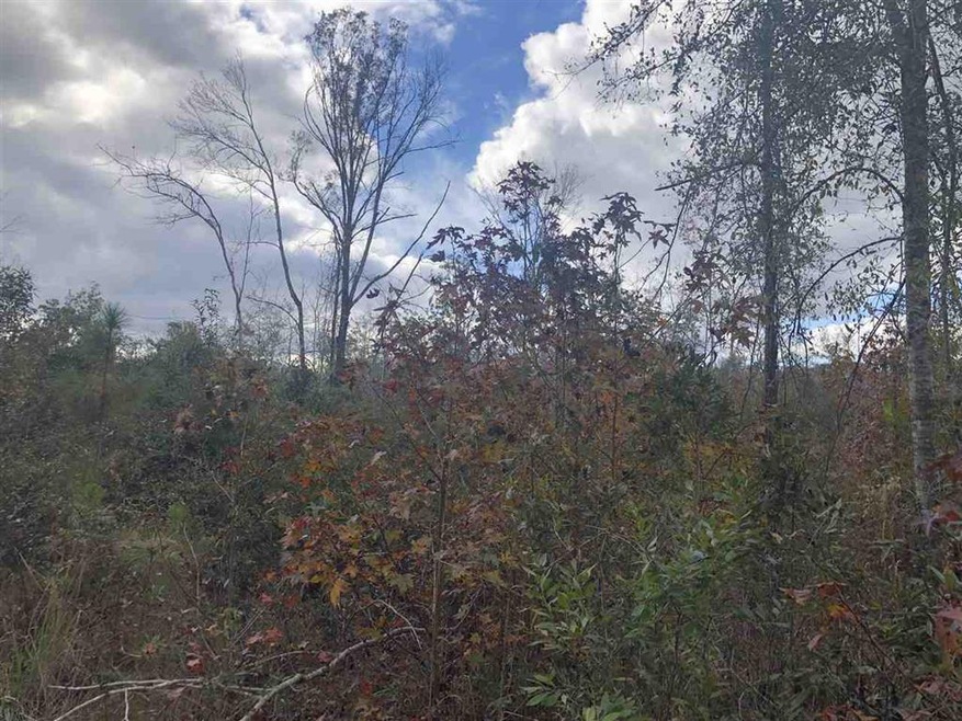 XXXX Coastal - Lot 2 Hwy, Crawfordville, FL 32327 - photo 1