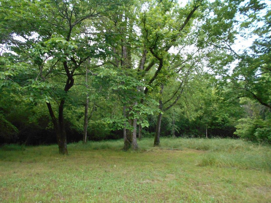 Primary Photo