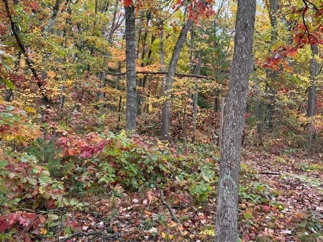 0 10th Ave, Merrill Township, MI 49309 - photo 1