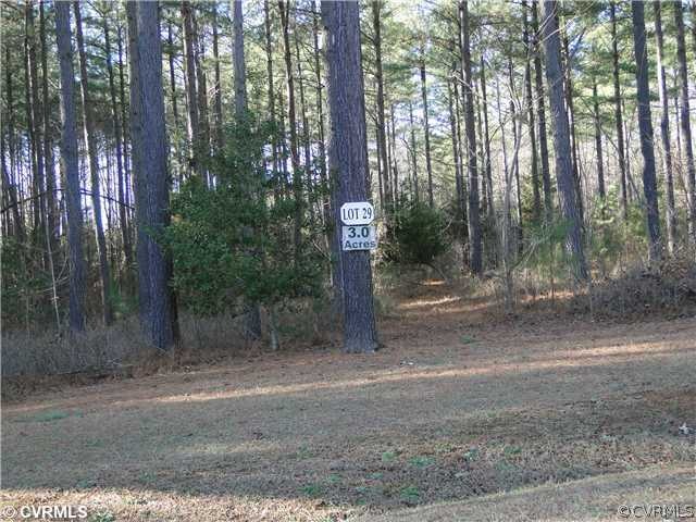 3748 Archies Way, Powhatan, VA 23139 - photo 1