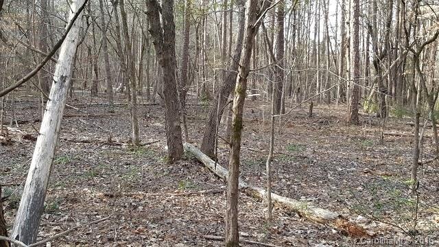 3770 Zion Church Rd, Concord, NC 28025 - photo 1