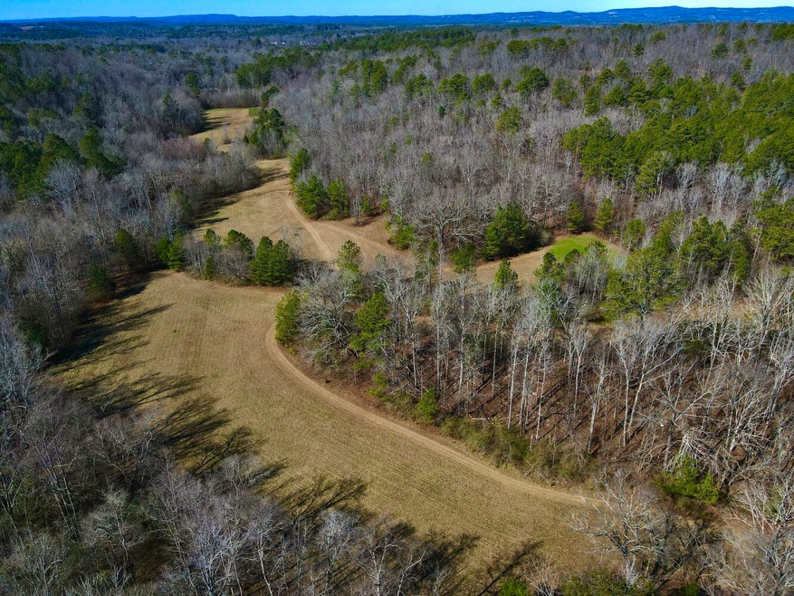 4325 Spunky Hollow Rd, Remlap, AL 35133 MLS 11254497