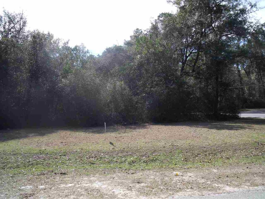 0 Homan Point Ave unit 253549, Crawfordville, FL 32327 - photo 1