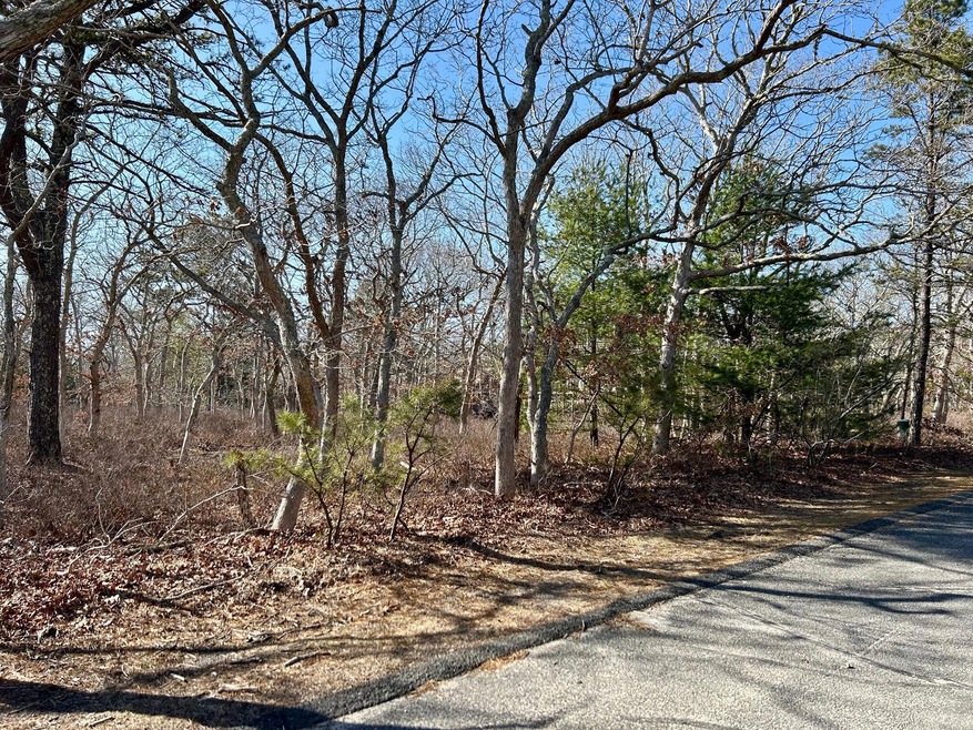 72 Windsor Dr, Edgartown, MA 02539 - photo 1