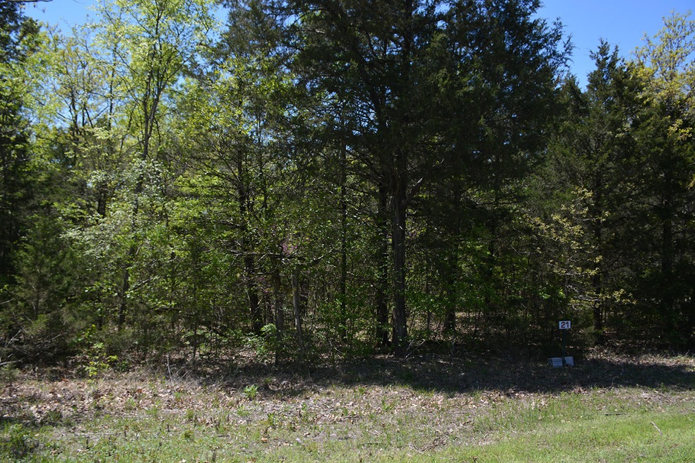 DSC_0292