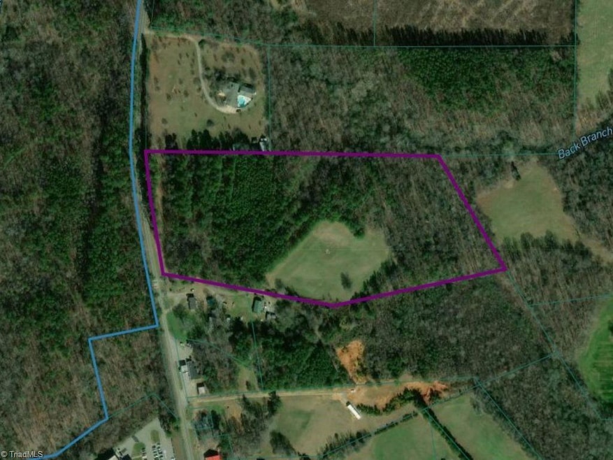 0 N Carolina 22, Ramseur, NC 27316 - photo 1