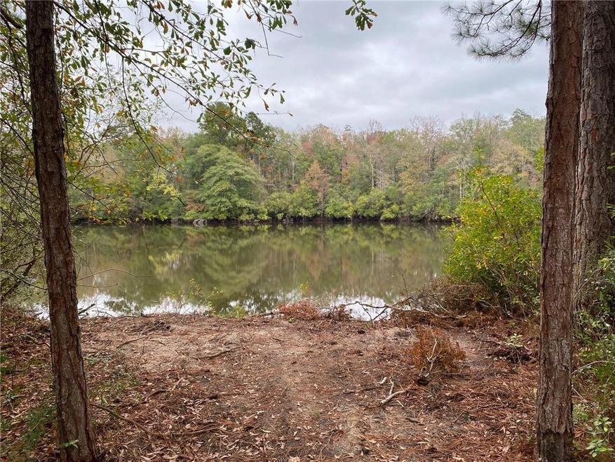 Large pond
