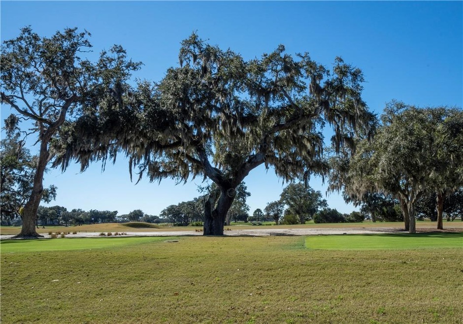 20 Kings Ln, Saint Simons Island, GA 31522 - photo 1