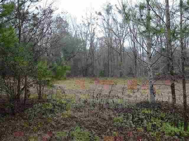 0 Peacemaker Lake Rd unit xxx 232008, Monticello, FL 32344 - photo 1