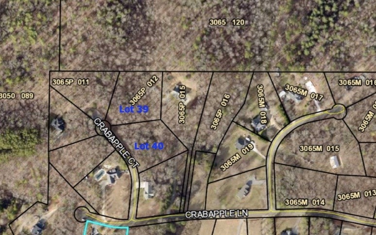 0 Crabapple Ct unit 309049, Ellijay, GA 30540 - photo 1