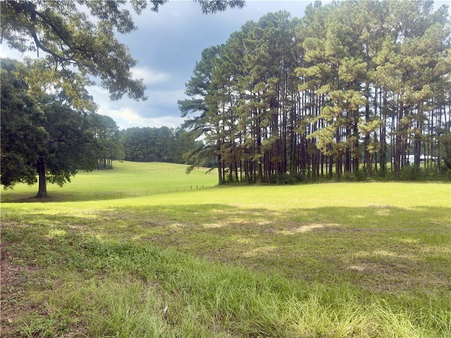 00 Spring Creek Rd, Jena, LA 71342 - photo 1