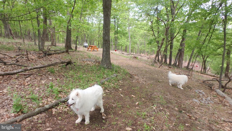 Lot 203 Hampshire Ridge, Romney, WV 26757 - photo 1