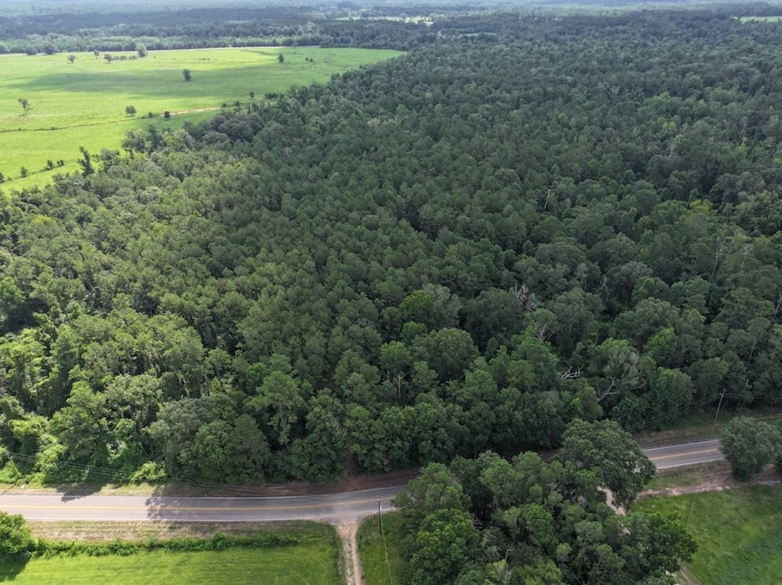 Hwy 1058 unit LotWP003, Kentwood, LA 70444 - photo 1