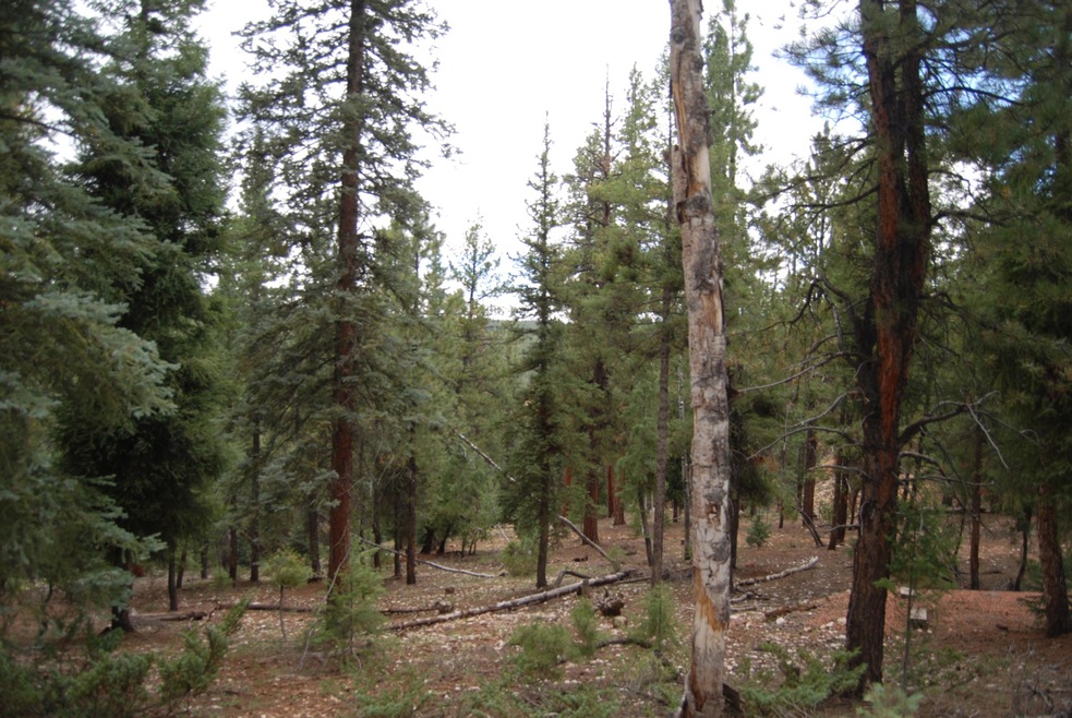 .80 Acres