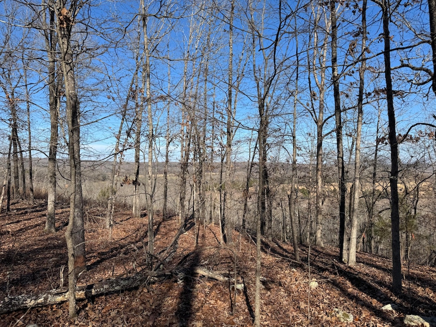 60 B Tablerock Rd, Evening Shade, AR 72532 - photo 1