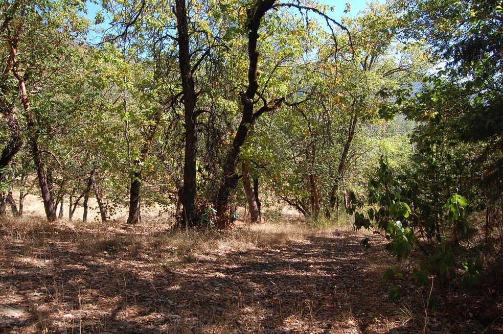 0 NE Greenfield Tl300 unit 102982269, Grants Pass, OR 97526 - photo 1