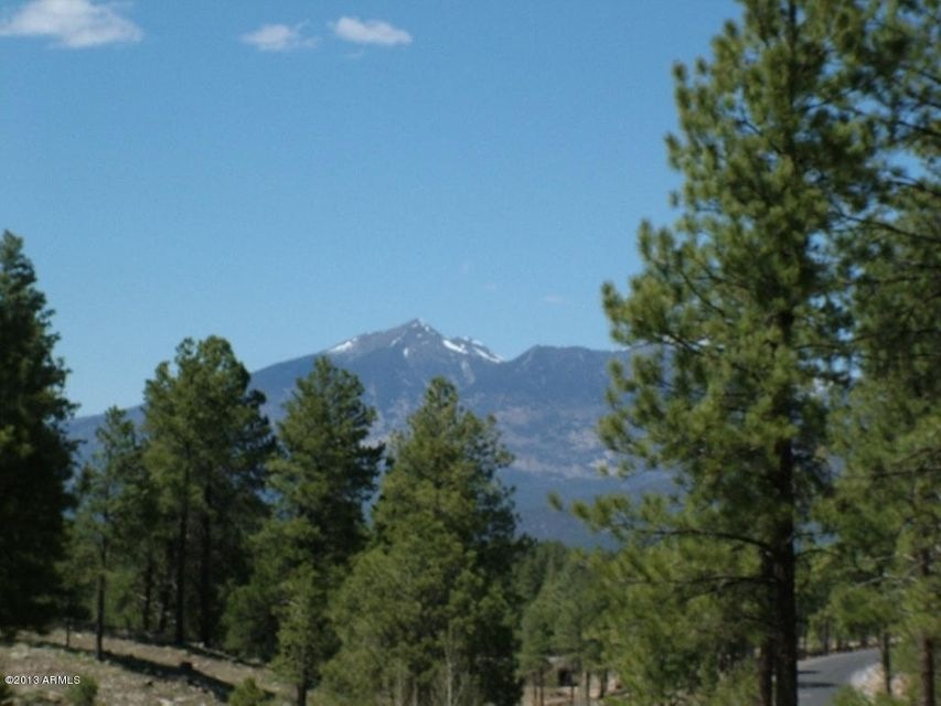 Lot 52