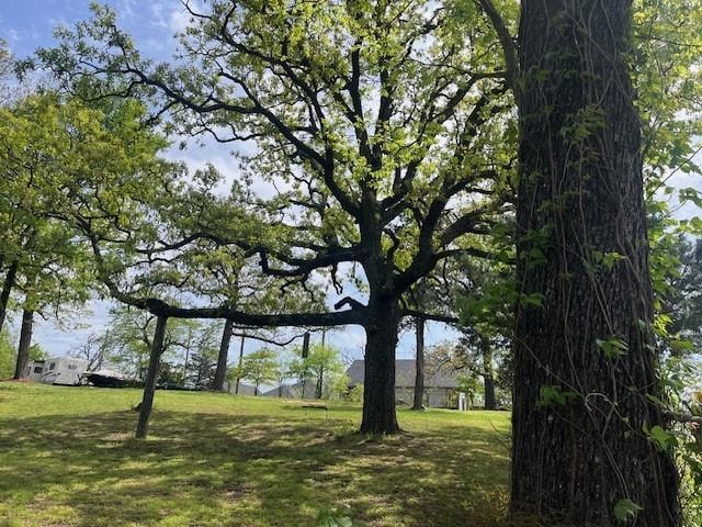 Large live oaks grace these two beautiful lots.