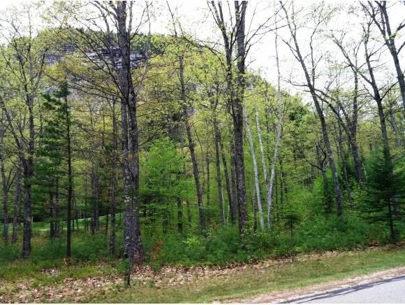 73 Fairway Dr unit 4062942, Hales Location, NH 03860 - photo 1